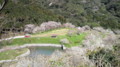 [高蔵山森林公園]高蔵山森林公園2009.03.27