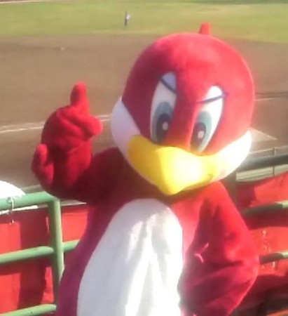 f:id:ikasumi:20090412225716j:image:w250 f:id:ikasumi:20090412225716j:image:w250