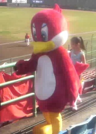 f:id:ikasumi:20090412225717j:image:w250