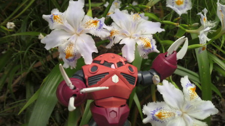 f:id:ikasumi:20090426115748j:image