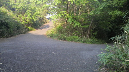 f:id:ikasumi:20090430020938j:image