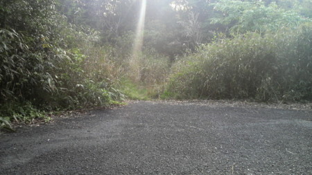 f:id:ikasumi:20090430021135j:image