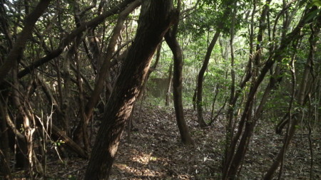f:id:ikasumi:20090430023116j:image