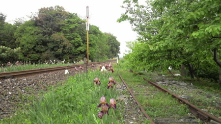 f:id:ikasumi:20090509000832j:image