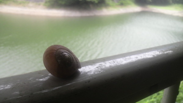 f:id:ikasumi:20090625232803j:image
