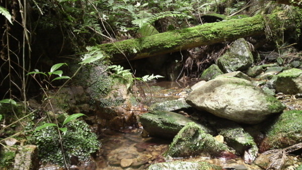 f:id:ikasumi:20090626001321j:image