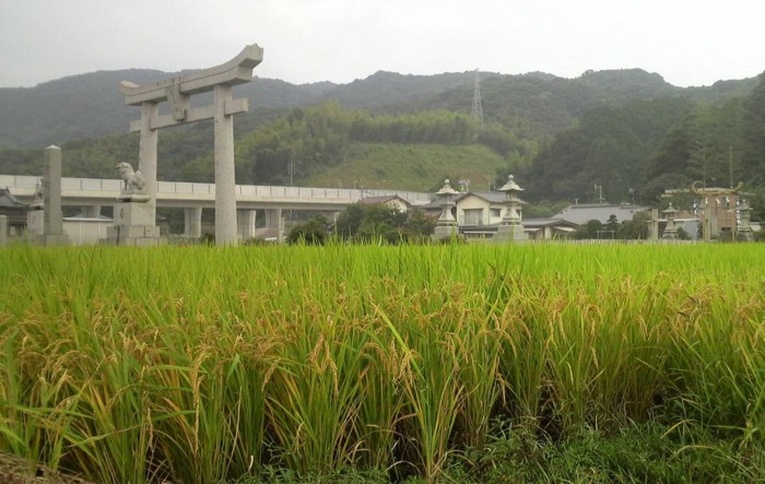 f:id:ikasumi:20090927221732j:image:h450