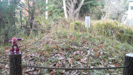 f:id:ikasumi:20091209174528j:image:h190