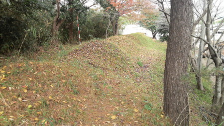 f:id:ikasumi:20091209174534j:image:h190
