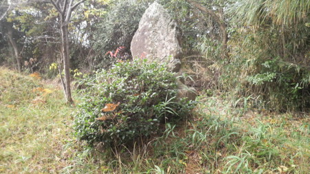 f:id:ikasumi:20091209174820j:image:h190