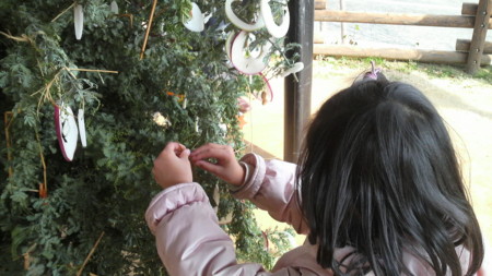 f:id:ikasumi:20100107224431j:image