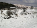 [平尾台][雪][北九州]2010.03.11