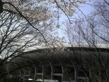 f:id:ikasumi:20100329143232j:image:h250 f:id:ikasumi:20100329143232j:image:h250