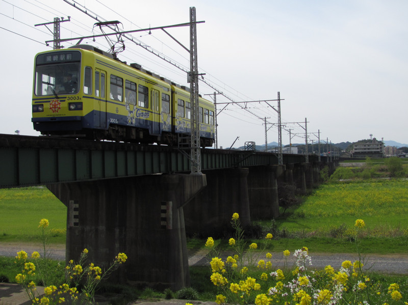 f:id:ikasumi:20100330232737j:image:h200