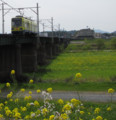 [ギラヴァンツ号][筑豊電鉄][遠賀川橋梁]ギラヴァンツ号遠賀川橋梁2010.03.30