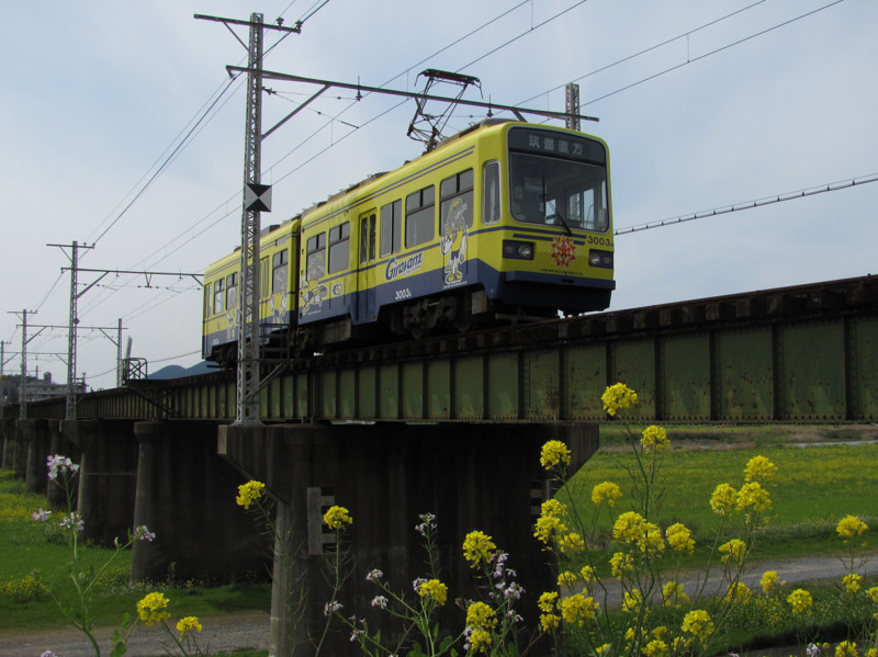 f:id:ikasumi:20100330232745j:image:h200