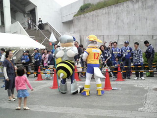 f:id:ikasumi:20100522190942j:image