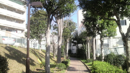 f:id:ikasumi:20100728165454j:image:h180 f:id:ikasumi:20100728165454j:image:h180