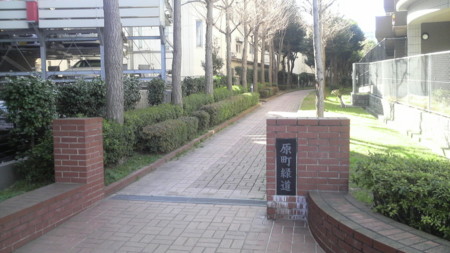 f:id:ikasumi:20100728172015j:image:h180 f:id:ikasumi:20100728172015j:image:h180