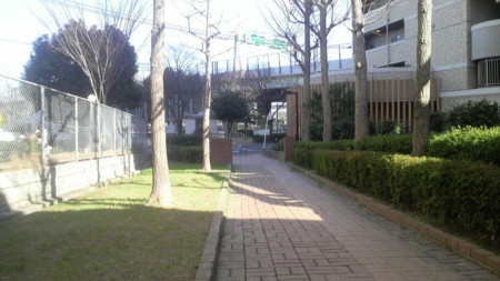 f:id:ikasumi:20100728172019j:image:h180