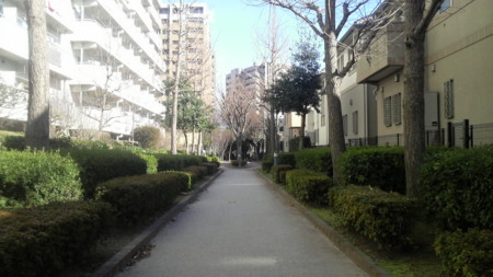f:id:ikasumi:20100728172024j:image:h180 f:id:ikasumi:20100728172024j:image:h180