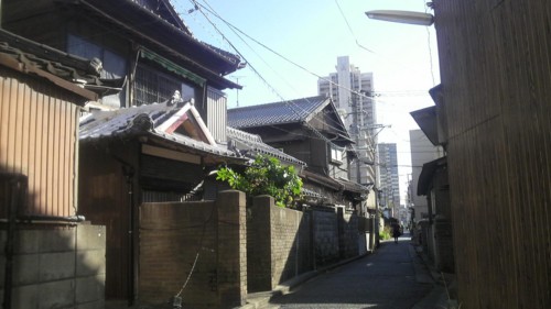f:id:ikasumi:20100813141559j:image:h120 f:id:ikasumi:20100813141559j:image:h120