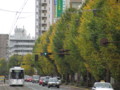 [熊本市電]水前寺駅前2010.11.28