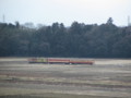 [ひたちなか海浜鉄道][ひなまつり][三両編成]ひたちなか海浜鉄道三両編成2012.03.04