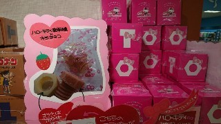 f:id:ikasumi:20190206185356j:plain