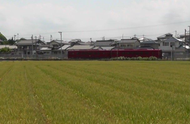 f:id:ikasumi:20190512073648j:plain