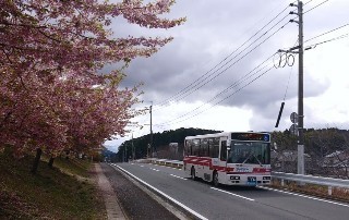 f:id:ikasumi:20200312103455j:plain