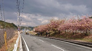 f:id:ikasumi:20200312103949j:plain