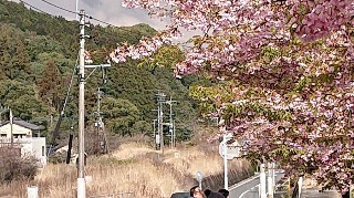f:id:ikasumi:20200312104001j:plain