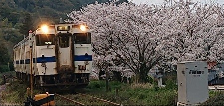 f:id:ikasumi:20200406142957j:plain f:id:ikasumi:20200406142957j:plain