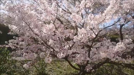 f:id:ikasumi:20200512031022j:plain
