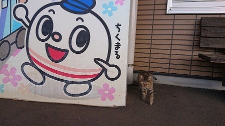 f:id:ikasumi:20200603154134j:plain