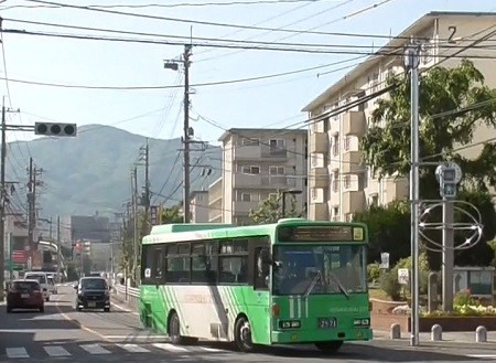 f:id:ikasumi:20200614234535j:plain f:id:ikasumi:20200614234535j:plain