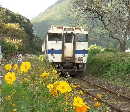 f:id:ikasumi:20200622001122j:plain