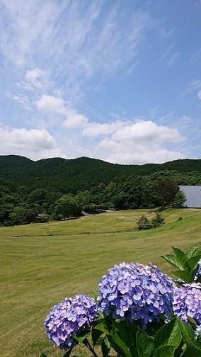 f:id:ikasumi:20200622002538j:plain f:id:ikasumi:20200622002538j:plain