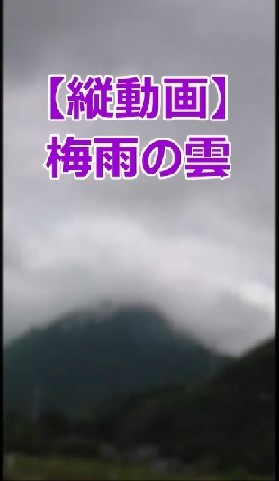 f:id:ikasumi:20200704143411j:plain