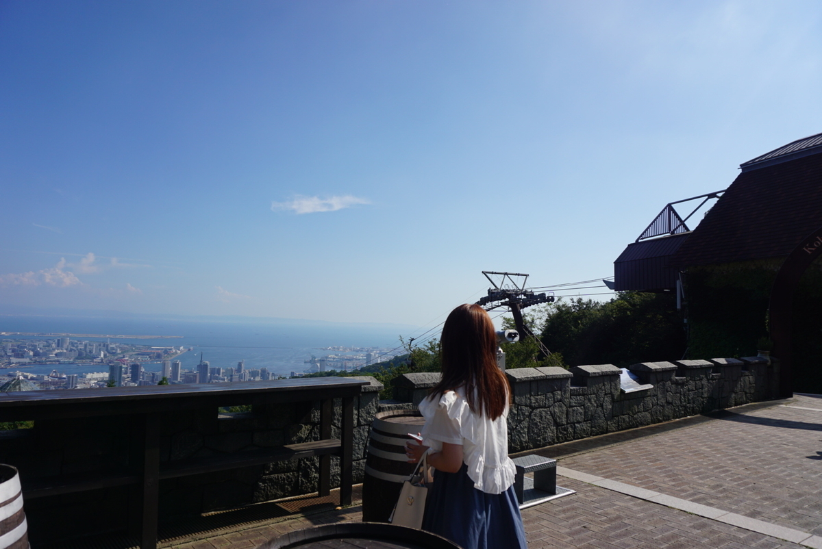 f:id:ikatamago:20210517075136j:plain