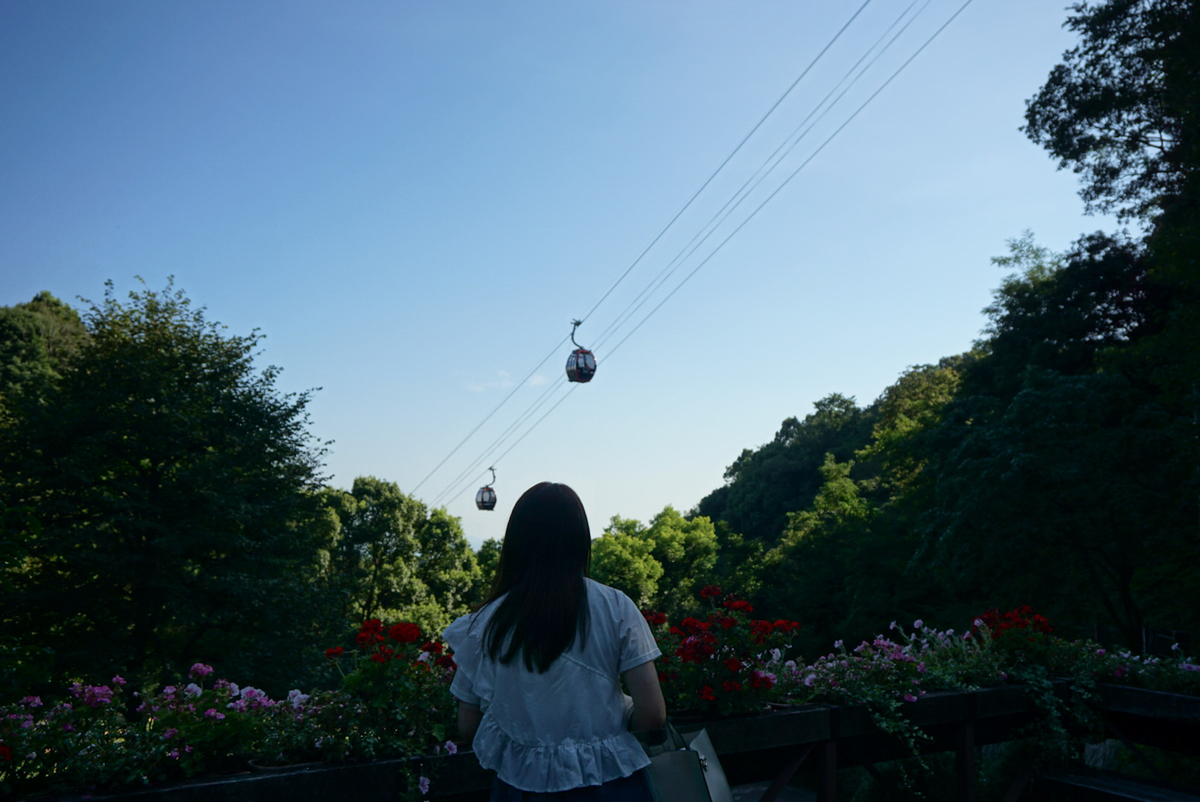 f:id:ikatamago:20210517080055j:plain