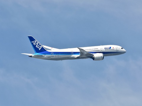DSC_8020