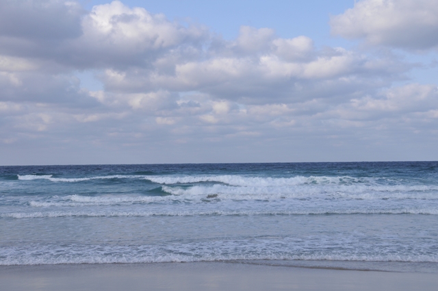 f:id:ikazuti-d:20080210155121j:image