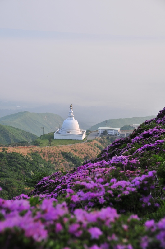 f:id:ikazuti-d:20080517061153j:image f:id:ikazuti-d:20080517061153j:image