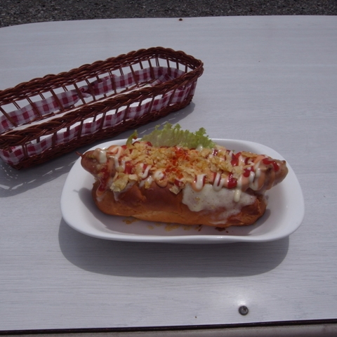 f:id:ikazuti-d:20090812115948j:image