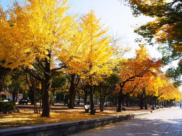 f:id:ikazuti-d:20101020133130j:image
