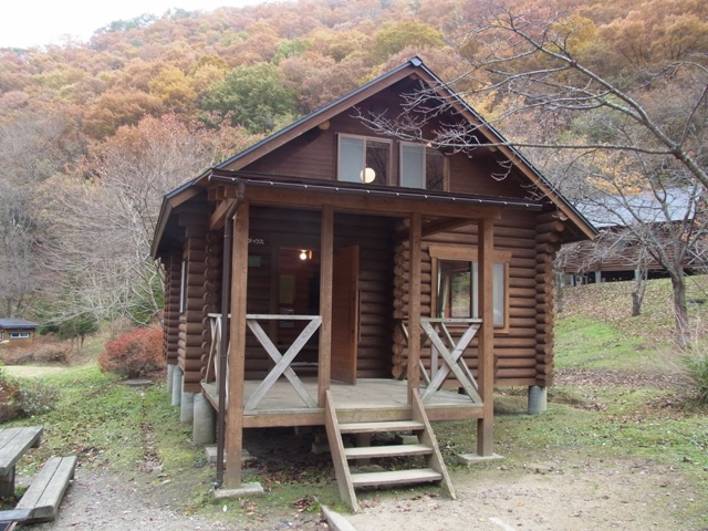 f:id:ikazuti-d:20101113130152j:image