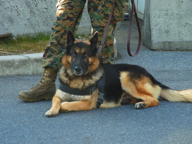 f:id:ikazuti-d:20101205095248j:image