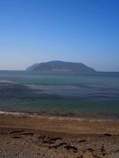 f:id:ikazuti-d:20101219112025j:image